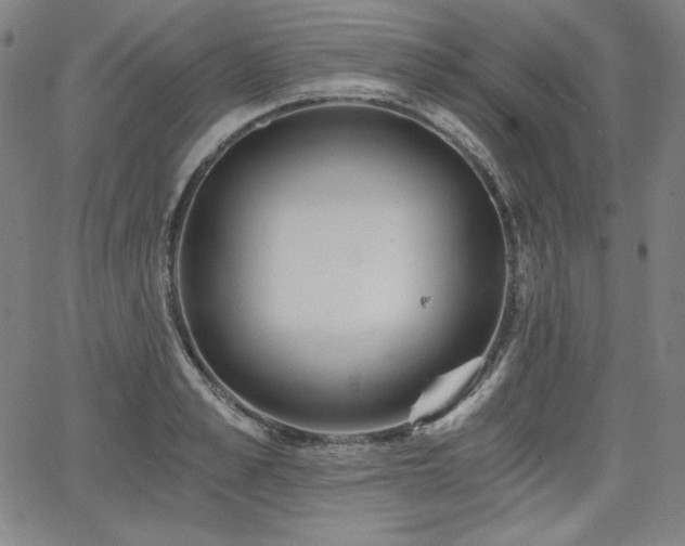 X0000068260989200604211040