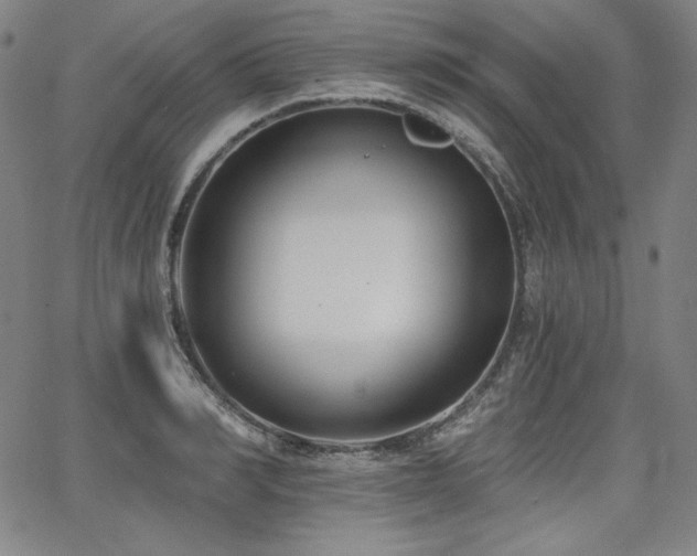 X0000068260990200604211040