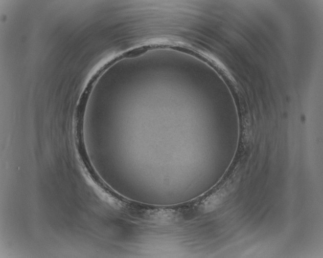 X0000068260991200604211040