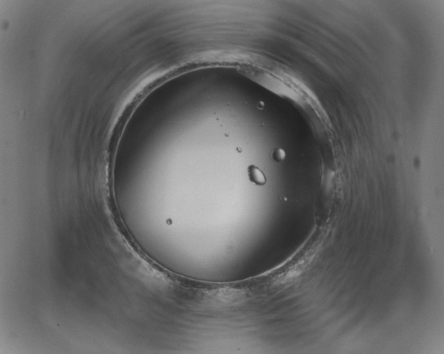 X0000068260992200604211040