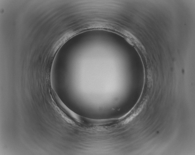 X0000068260993200604211040