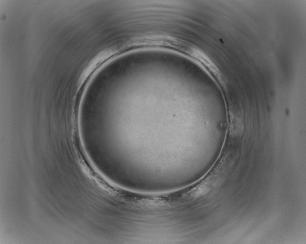 X0000068260994200604211040