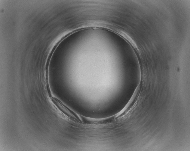 X0000068260996200604211040