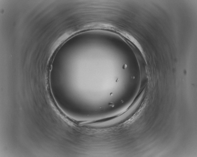 X0000068260997200604211040