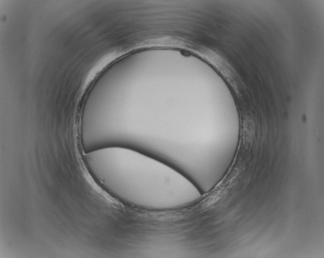 X0000068260998200604211040