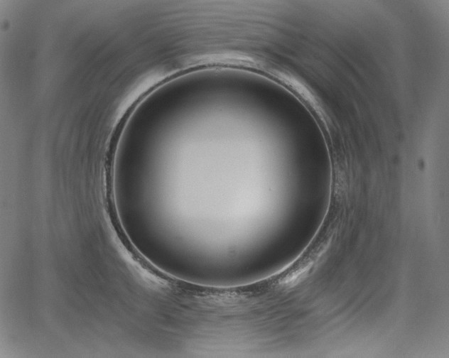 X0000068260999200604211040