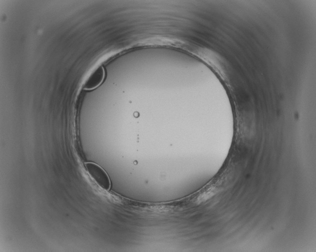 X0000068261000200604211040