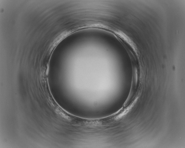 X0000068261001200604211040