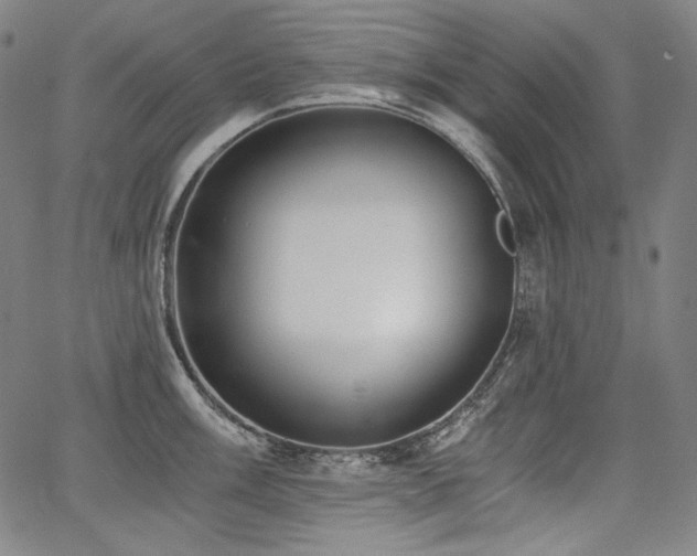 X0000068261003200604211040