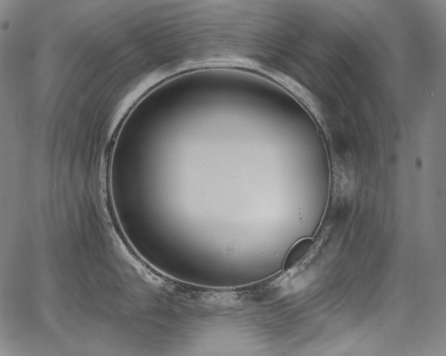 X0000068261006200604211040