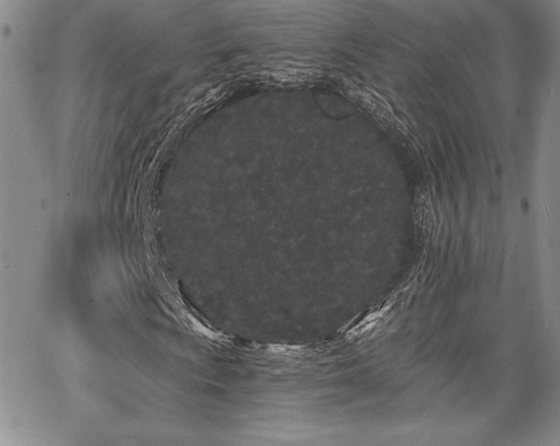 X0000068261009200604211039