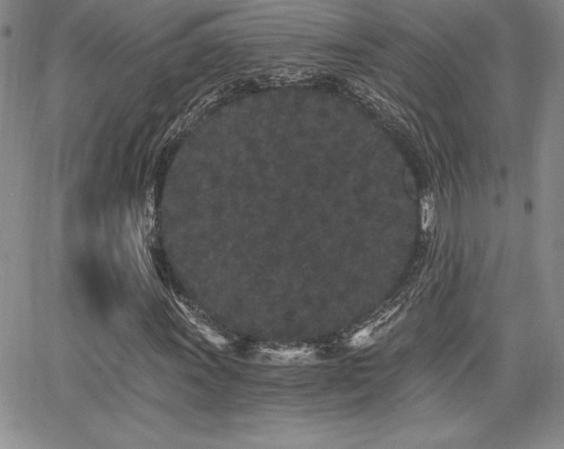 X0000068261011200604211039