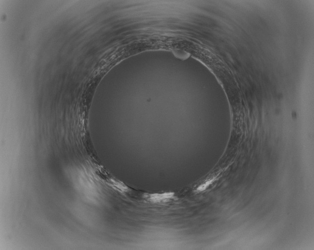 X0000068261013200604211039