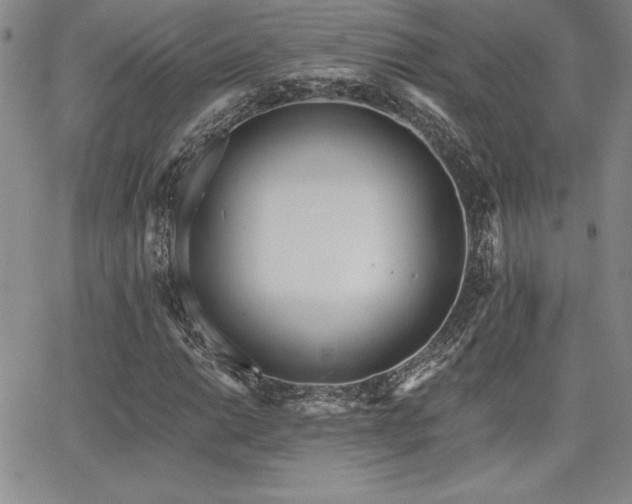 X0000068261014200604211039