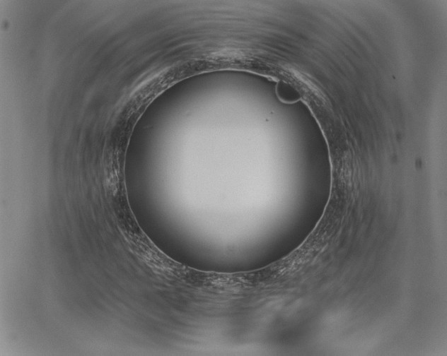 X0000068261015200604211039