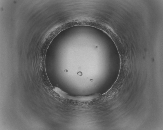 X0000068261016200604211039