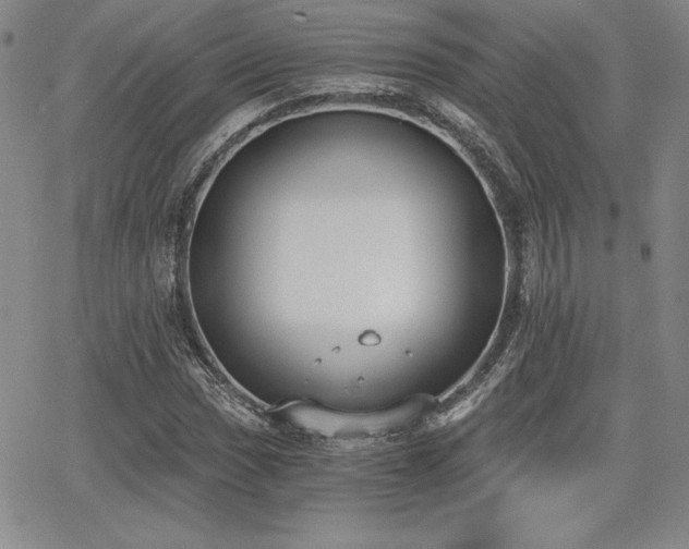 X0000068261017200604211039