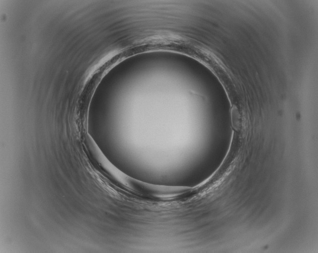 X0000068261018200604211039