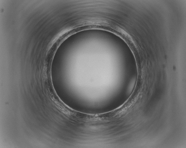 X0000068261019200604211039