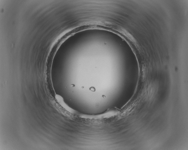 X0000068261020200604211039