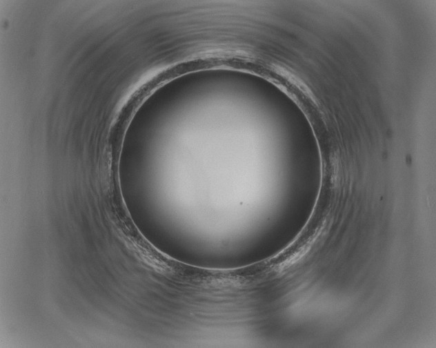 X0000068261021200604211039