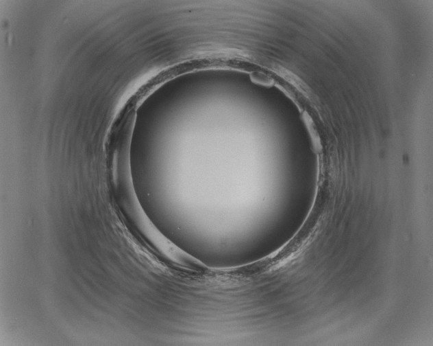 X0000068261022200604211039