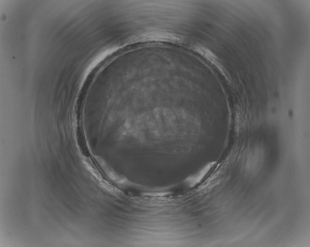 X0000068261024200604211039