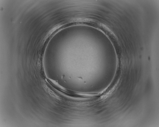 X0000068261025200604211039