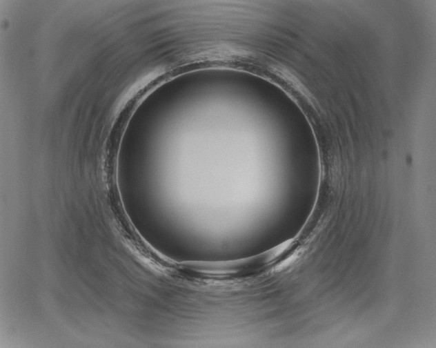 X0000068261026200604211039