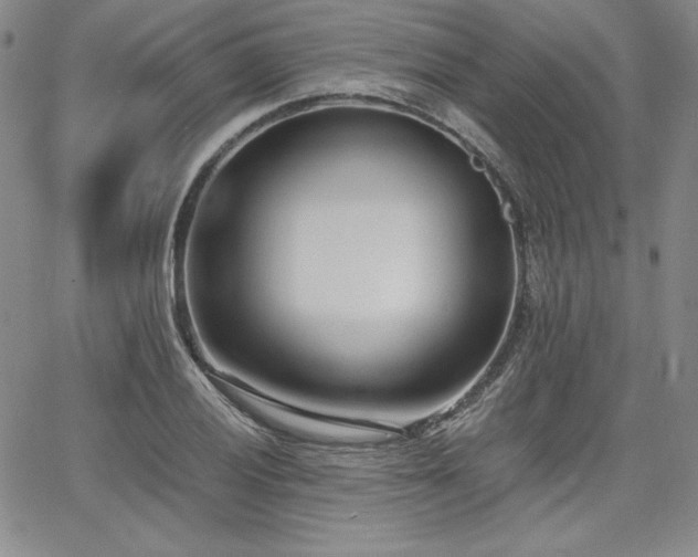 X0000068261028200604211039