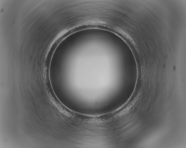 X0000068261029200604211039