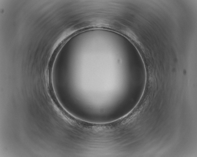 X0000068261032200604211039