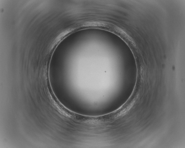 X0000068261033200604211039