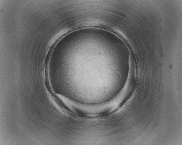 X0000068261034200604211039