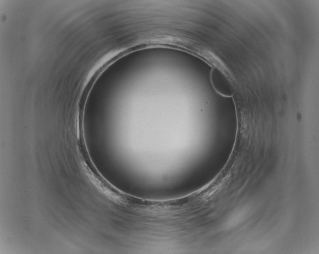 X0000068261036200604211039