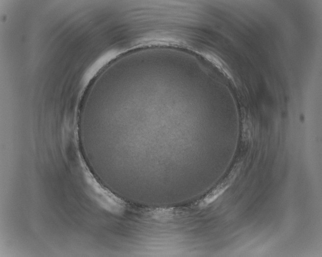 X0000068261038200604211039