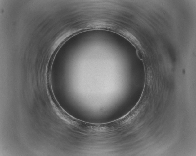 X0000068261039200604211039