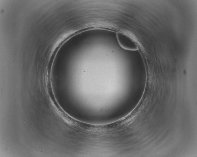 X0000068261040200604211039