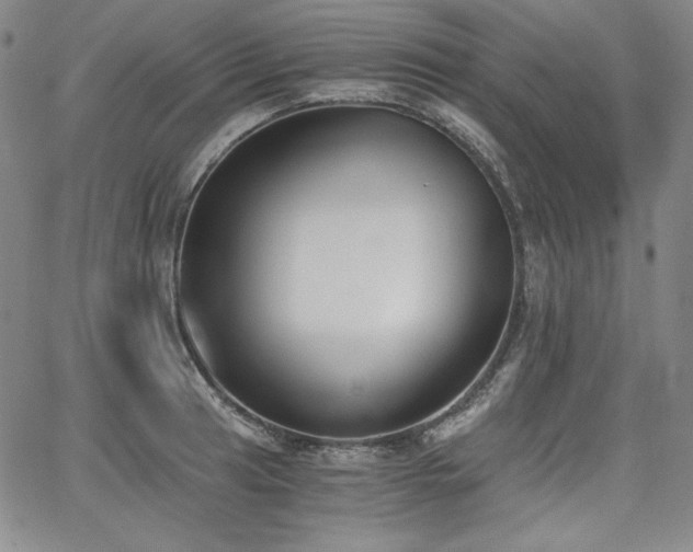 X0000068261041200604211039