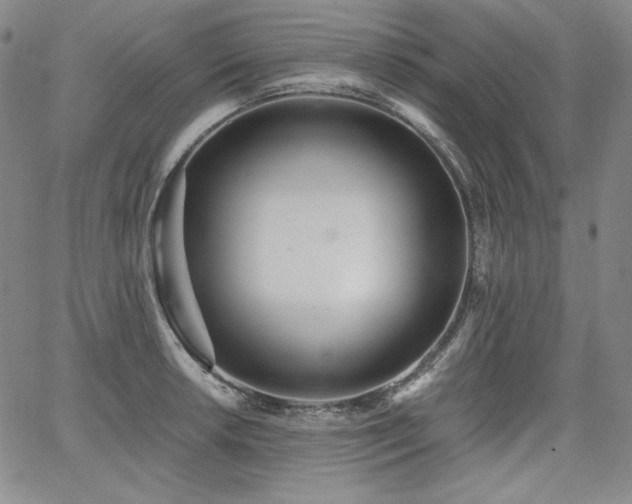 X0000068261042200604211039