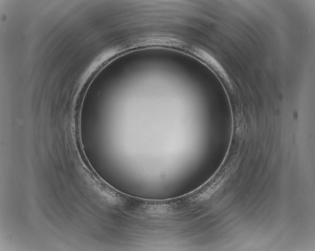 X0000068261043200604211039