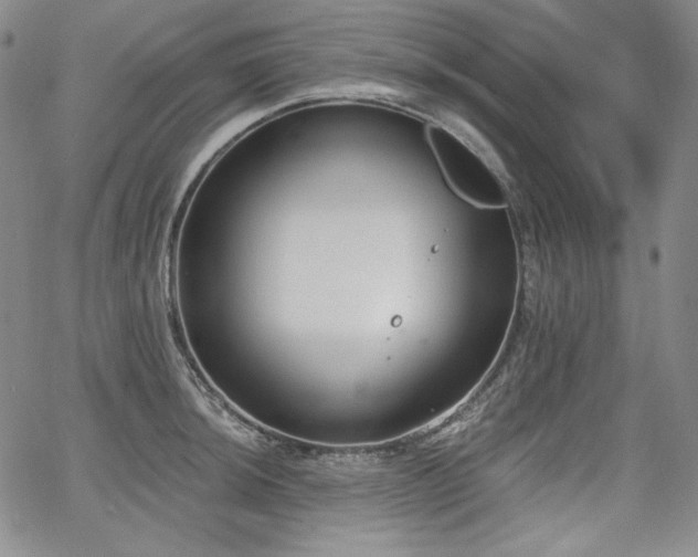 X0000068261044200604211039