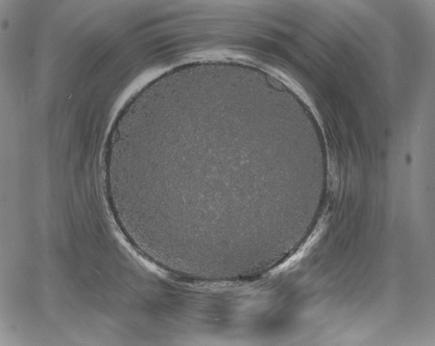 X0000068261045200604211039