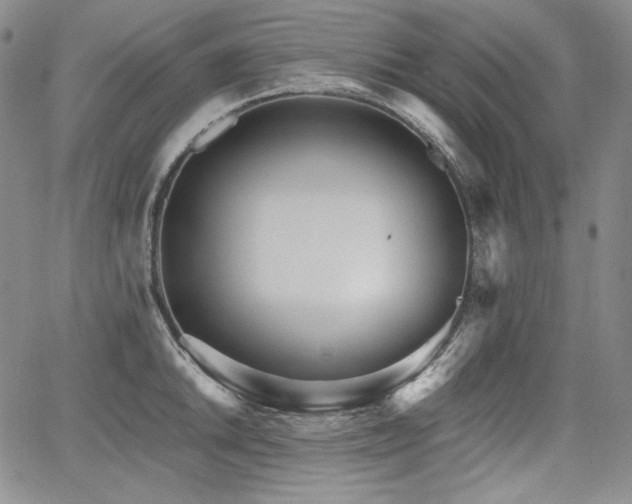 X0000068261046200604211039