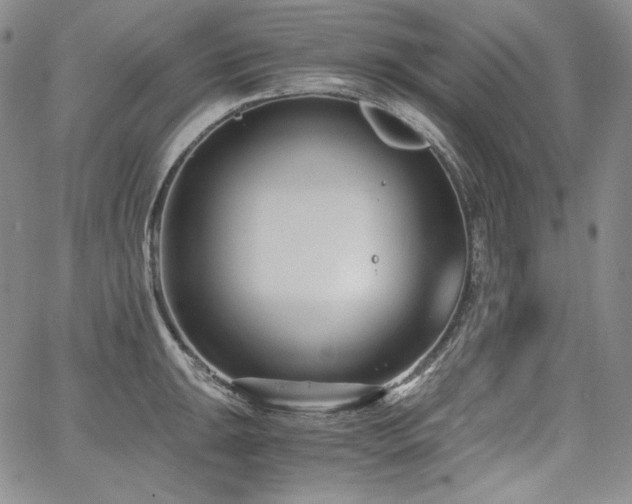 X0000068261047200604211039