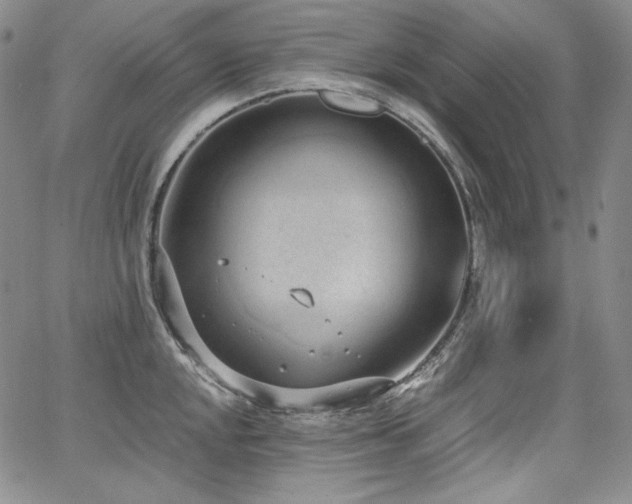 X0000068261048200604211039