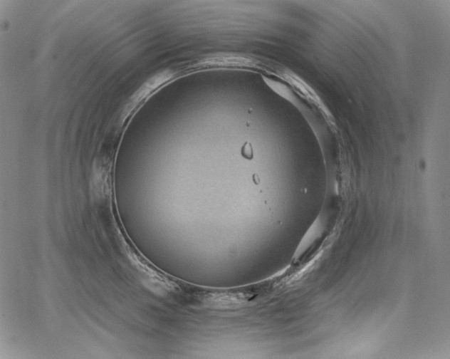 X0000068261049200604211039