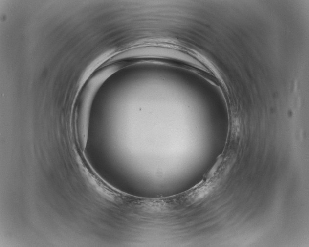 X0000068261050200604211039