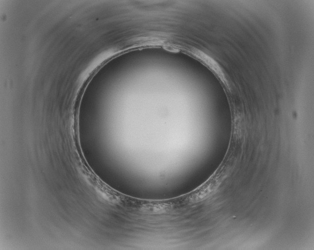 X0000068261051200604211039