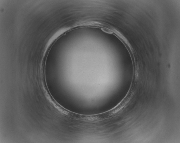 X0000068261053200604211039